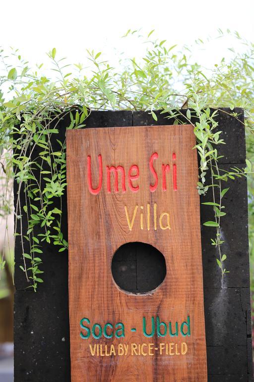 Ume Sri Villas Ubud Екстериор снимка